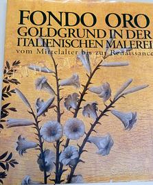 Libro " Fondi Oro nella Pittura Italiana "