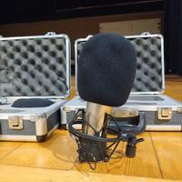 Microfono a condensatore