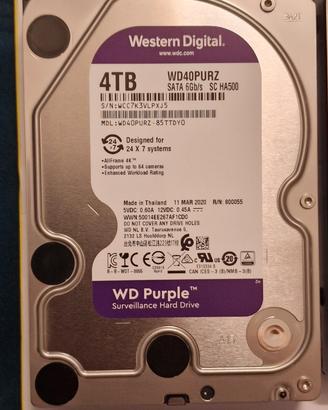 WD Purple 4TB Hard Disk Interno