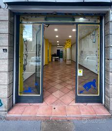 Negozio Via Carlo Citerni Roma