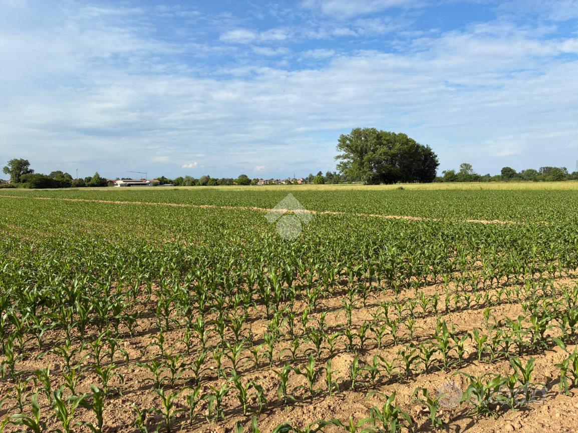 TER. AGRICOLO A CORBETTA - Vista 4