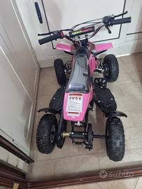 Altro Altro modello - 2024