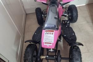 Altro Altro modello - 2024