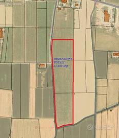 Terreno di 31800 m² a Gualtieri