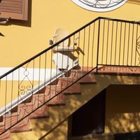 servo scala lineare Acorn 