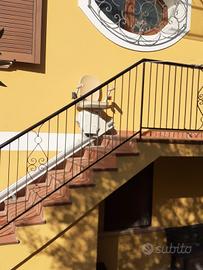 servo scala lineare Acorn 