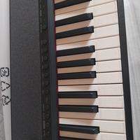 tastiera musicale casiotone ct-s1