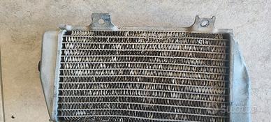 Radiatori Honda CRF 250 r del 2016