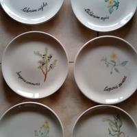 Set Piatti in Ceramica Dipinti a Mano - Tema Botan