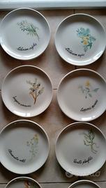 Set Piatti in Ceramica Dipinti a Mano - Tema Botan