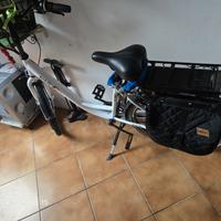 Bicicletta elettrica 