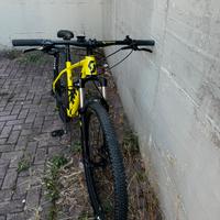 Bici mtb