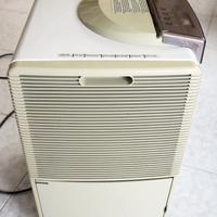 Deumidificatore Tasciugo DeLonghi DN 125