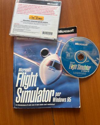 Flight simulator 95