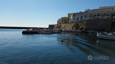 Gallipoli Zona Centrale Vacanze