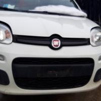 Fiat panda anno 2013