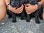 Immagine 1