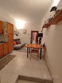 Bilocale citta' studi - milano
