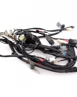Impianto elettrico Gilera Runner 50 iniezione Pure
