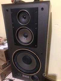 Due casse professionali piu amplifixatore