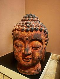 Testa budda