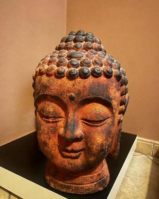 Testa budda