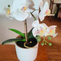 Fiori finti orchidea bianca con vasetto ceramica