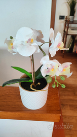 Fiori finti orchidea bianca con vasetto ceramica