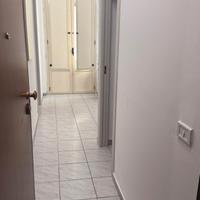 Bilocale appena ristrutturato