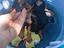 Immagine 6