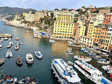 CAMOGLI - isola centralissimo affittiamo caratteri