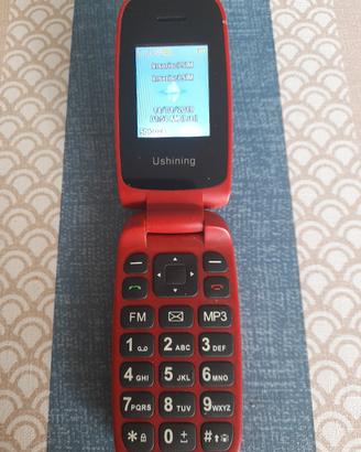 Cellulare a colori con fotocamera, radio,e altre 