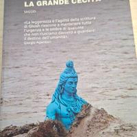 La grande cecità