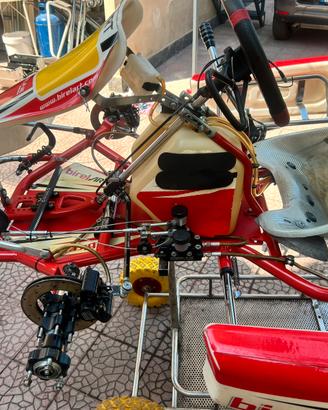 Go kart BirelArt 125KZ