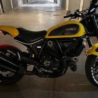 Ducati scrambler icon 2017