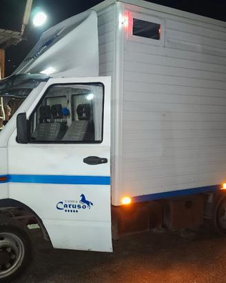 Van trasporto cavalli
