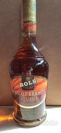 Bottiglia di Apricot Brandy Liqueur Bols