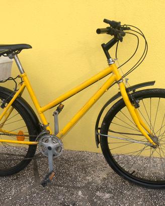 Bicicletta con cambio
