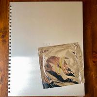 Madonna Sex Libro - con CD mai aperto (1992)