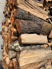 Legna secca di bosco