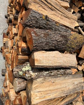 Legna secca di bosco