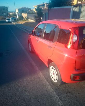 Fiat Panda Easy benzina