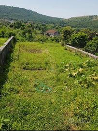 Casa e terreno nel centro storico