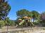Immagine 21