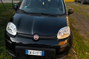fiat pandina