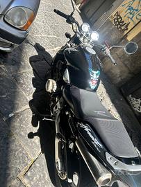 Honda Hornet 900 - 2002