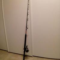 Canna da pesca PENN INTERNATIONAL V 20/40