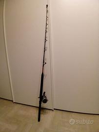 Canna da pesca PENN INTERNATIONAL V 20/40