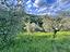 Immagine 7