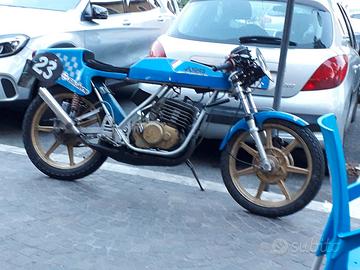 aspes yuma 125
